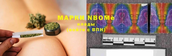 шишки Апатиты