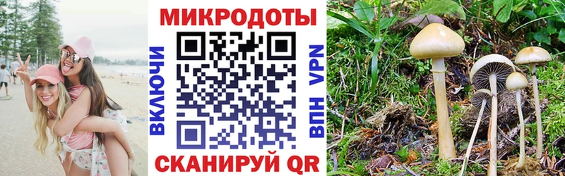 Псилоцибиновые грибы Cubensis ссылка на мегу ССЫЛКА Муравленко